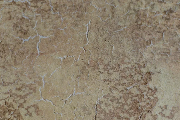 Texture plaster for decoration — Stock Photo, Image