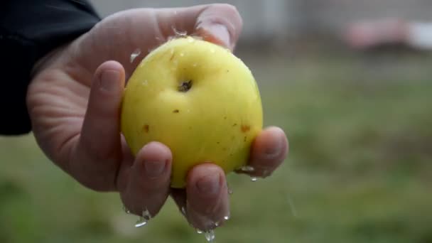 Apples — Stock Video