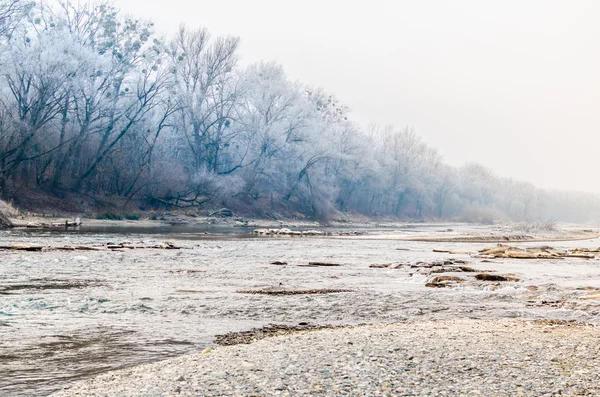 Nehirle birlikte kış manzarası — Stok fotoğraf