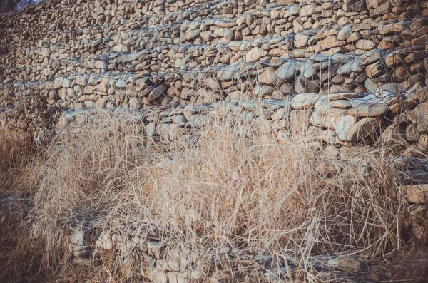 Říční kámen s trávou — Stock fotografie