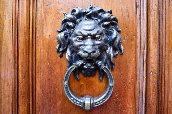 Lion's Head Door Knocker — Stock Photo, Image