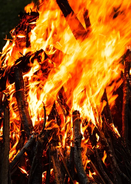 Camp fire — Stock Photo, Image