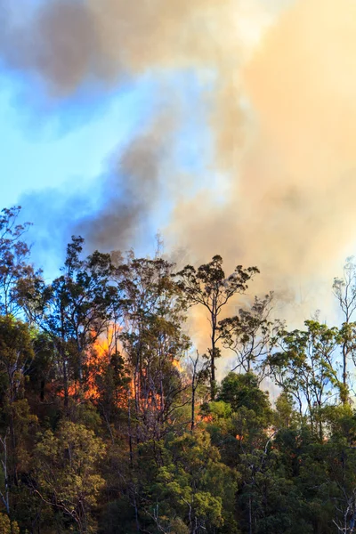 Humo y fuego — Foto de Stock