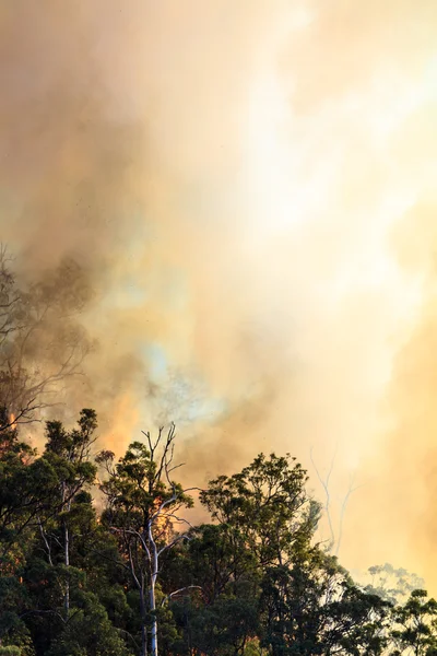 Vakító tűz füst — Stock Fotó