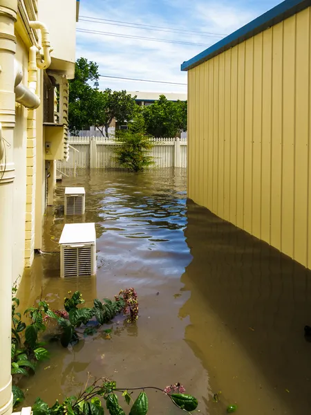 Jardin sous l'eau d'inondation — Photo