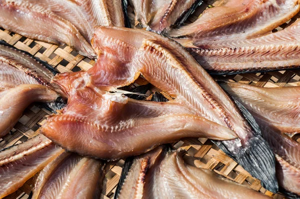 Pesce secco — Foto Stock