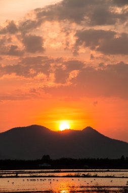 Sunset bulvarında mountian