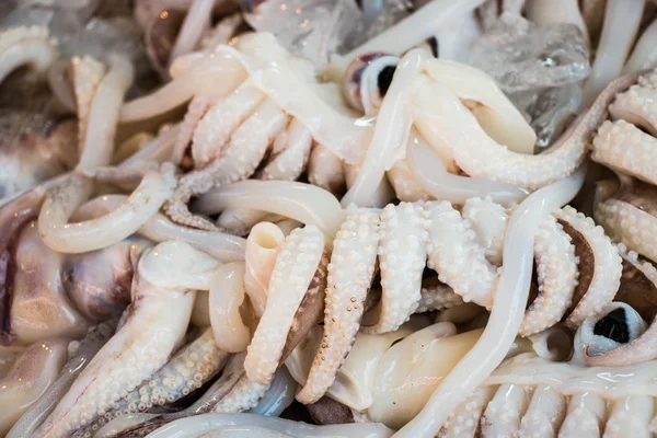 Calamari nel mercato dei frutti di mare — Foto Stock