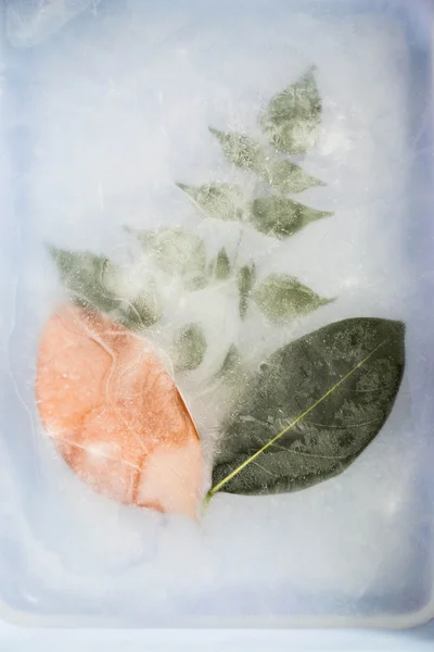 Yaprak buz doğa arka planda — Stok fotoğraf