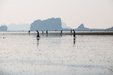 Tekne ve deniz balıkçı