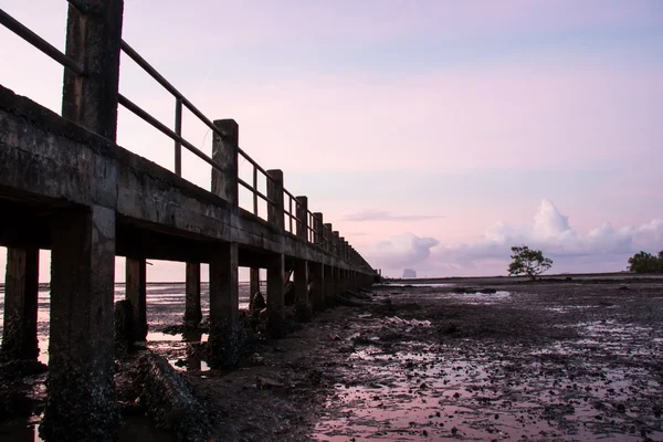 Brygga, bro till havet, siluett — Stockfoto