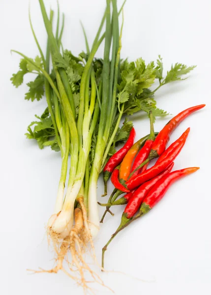 辣椒和蔬菜 — 图库照片