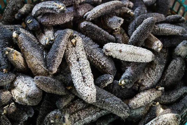 Pepino para cocinar —  Fotos de Stock