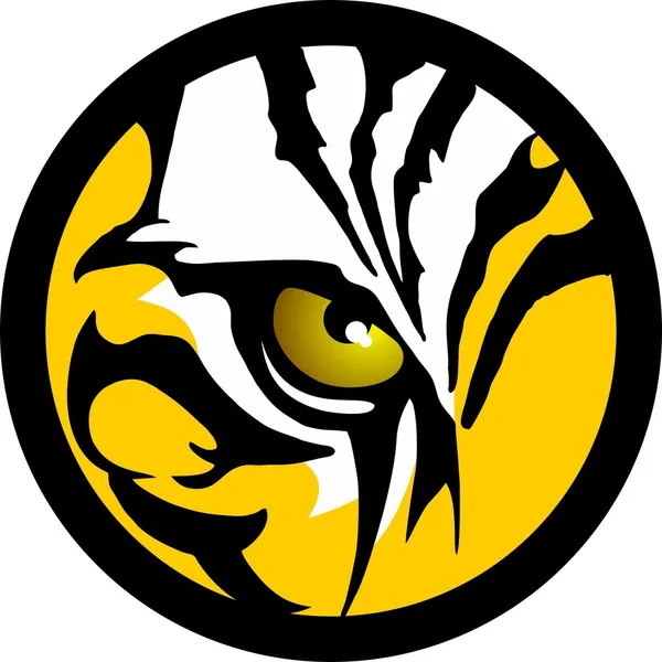 Tiger Eye — Stock Vector