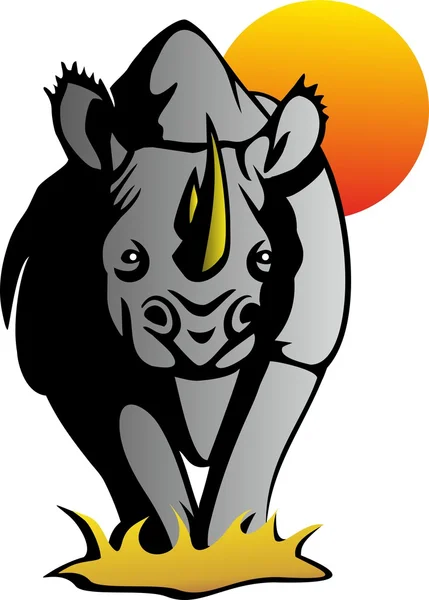 Rhino — Stock Vector