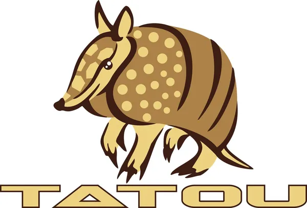 Tatou — Stock Vector