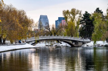 Kışın Başındaki İlk Kar - Nanhu Park 'taki Kış Sahnesi, Changchun, Çin