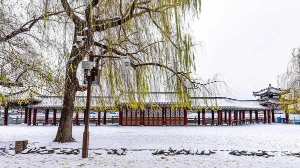 Prima Neve All Inizio Dell Inverno Paesaggio Invernale Nanhu Park — Foto Stock