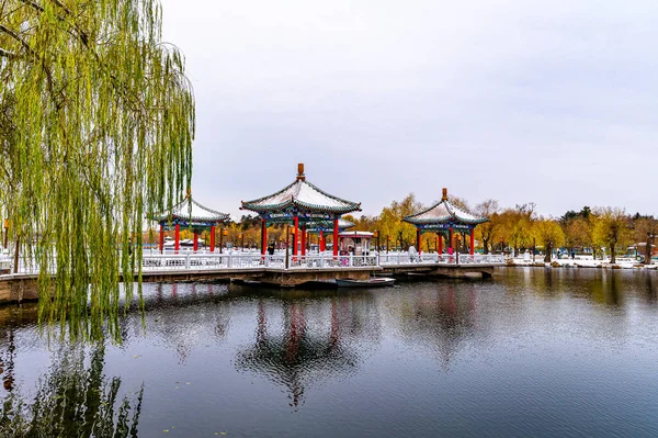 Första Snön Början Vintern Vinterlandskap Nanhu Park Changchun Kina — Stockfoto