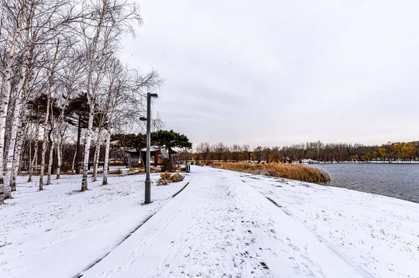 Primera Nieve Principios Invierno Paisajes Invierno Parque Nanhu Changchun China — Foto de Stock