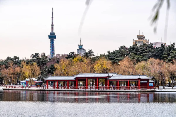 První Sníh Počátku Zimy Zimní Scenérie Nanhu Park Changchun Čína — Stock fotografie