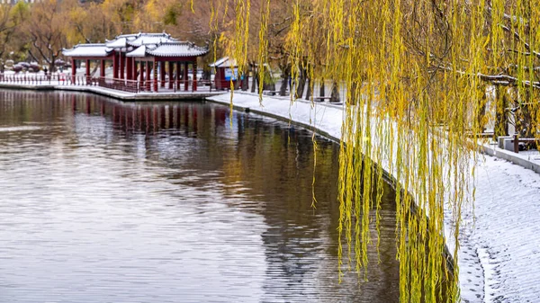 Första Snön Början Vintern Vinterlandskap Nanhu Park Changchun Kina — Stockfoto