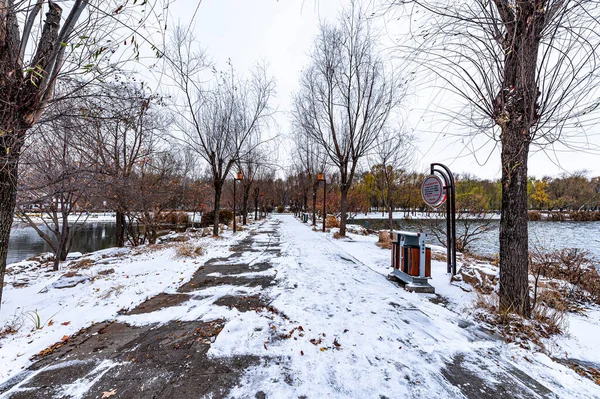Primera Nieve Principios Invierno Paisajes Invierno Parque Nanhu Changchun China — Foto de Stock