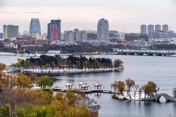 Primera Nieve Principios Invierno Paisajes Invierno Parque Nanhu Changchun China — Foto de Stock