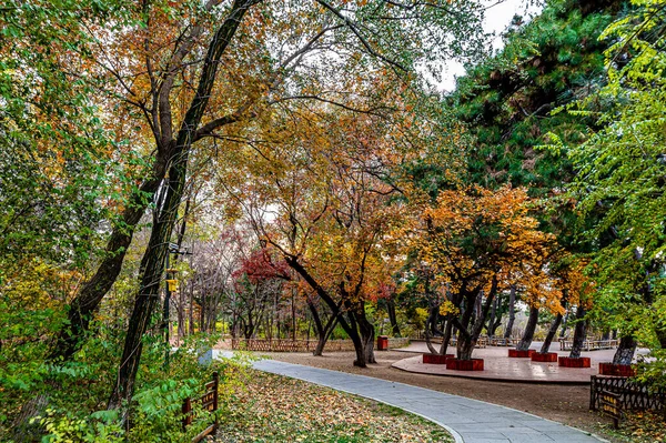 Herbstlandschaft Des Baimu Gartens Changchun China — Stockfoto