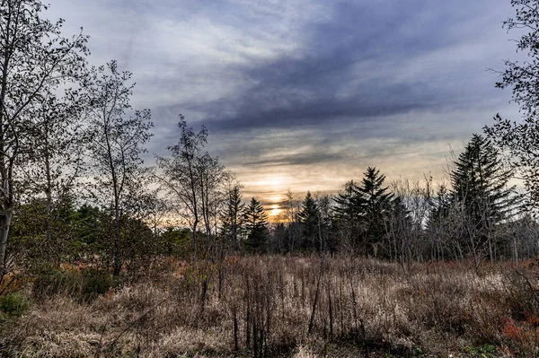 Paysage Automne Jardin Baimu Changchun Chine — Photo