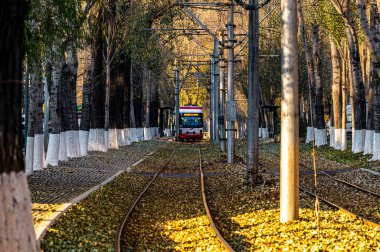 Chuncheng Caddesi, Changchun, Çin 'de düşen tramvay manzarası.