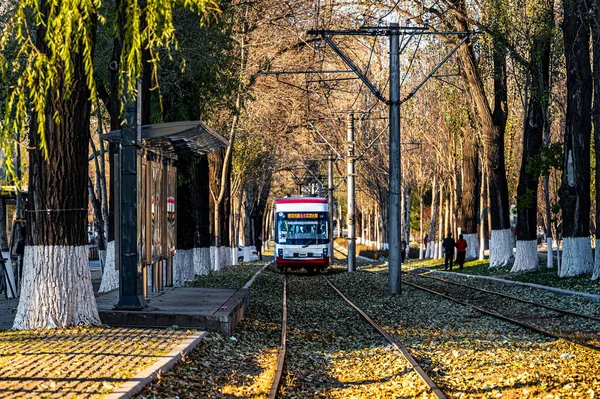 Chuncheng Caddesi, Changchun, Çin 'de düşen tramvay manzarası.