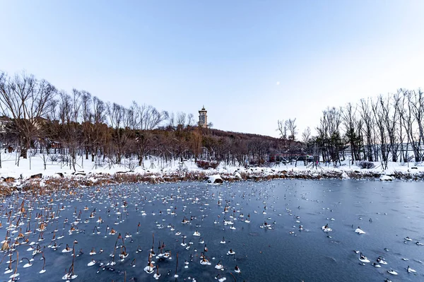 Paisaje Del Parque Forestal Nacional Jingyuetan Changchun China Después Nieve — Foto de Stock
