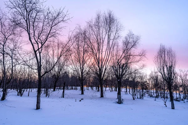 Winterlandschaft Des North Lake National Wetland Park Changchun China Sonnenuntergang — Stockfoto