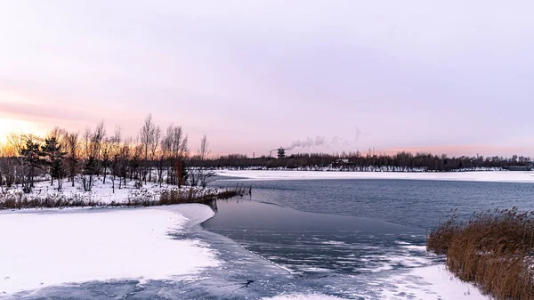 Paisaje Invernal Del Parque Nacional Humedales Del Lago Norte Changchun — Foto de Stock