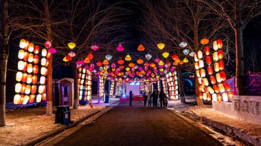 China Changchun Otomobil Buz ve Karnaval Gecesi Sahnesi