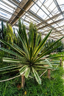 12. Çin Jilin Changchun Tarım Fuarı 'nın sergi alanı.