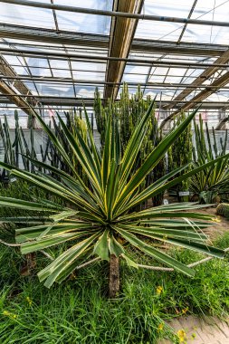 12. Çin Jilin Changchun Tarım Fuarı 'nın sergi alanı.