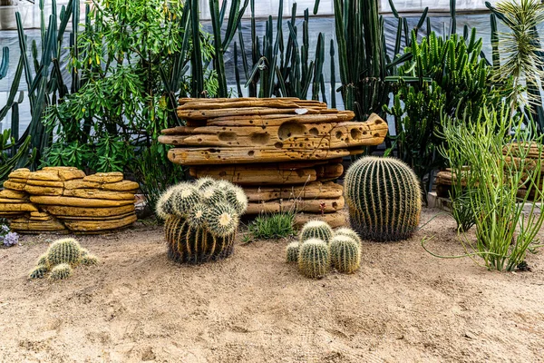 12. Çin Jilin Changchun Tarım Fuarı 'nın sergi alanı.