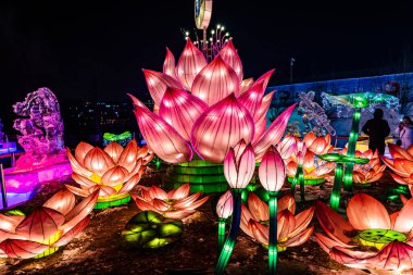 Nanhu Park, Changchun, Çin 'de buz ve kar ışığı sergisi