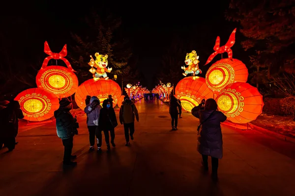 Vista Noturna Exposição Gelo Luz Neve Parque Nanhu Changchun China — Fotografia de Stock