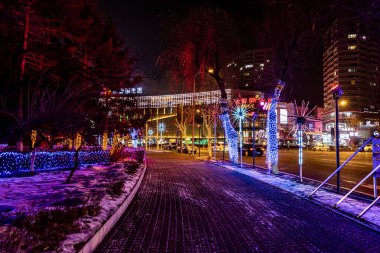 Festival sırasında Çin 'deki Changchun şehrinin gece manzarası