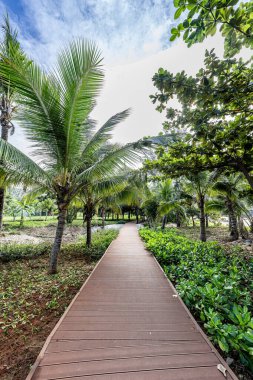 Tianya Haijiao Manzarası, Sanya Şehri, Hainan Eyaleti, Çin