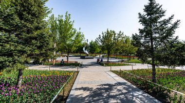 Changchun, Çin 'deki Changchun Park' ın bahar manzarası.