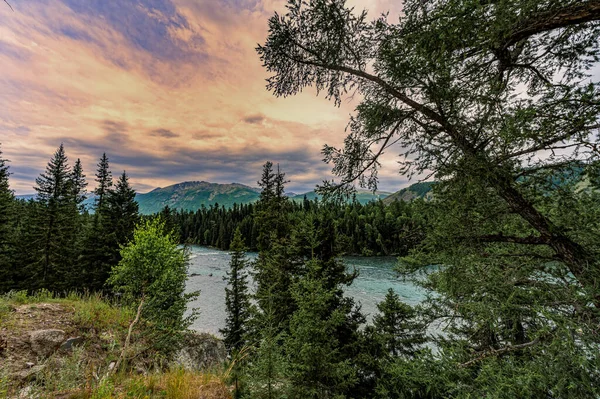 Landscape Kanas Scenic Spot Xinjiang China — Stockfoto