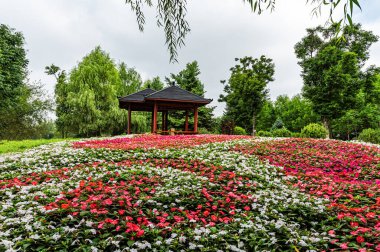 Yazın Çin 'de Changchun Yüz Bahçesi manzarası