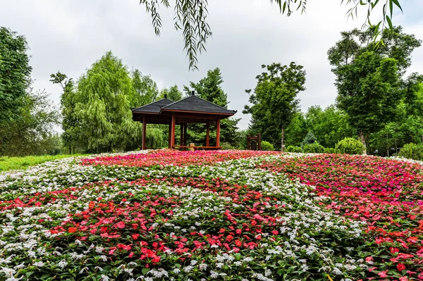 Landscape of Changchun Hundred Gardens in China in summer