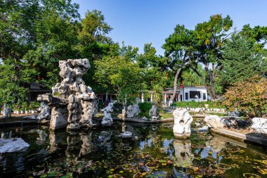 Changchun Çocuk Parkı, Çin 'de sonbahar kasımpatı sergisi