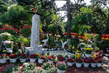 Changchun Çocuk Parkı, Çin 'de sonbahar kasımpatı sergisi