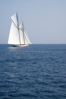 yelkenli